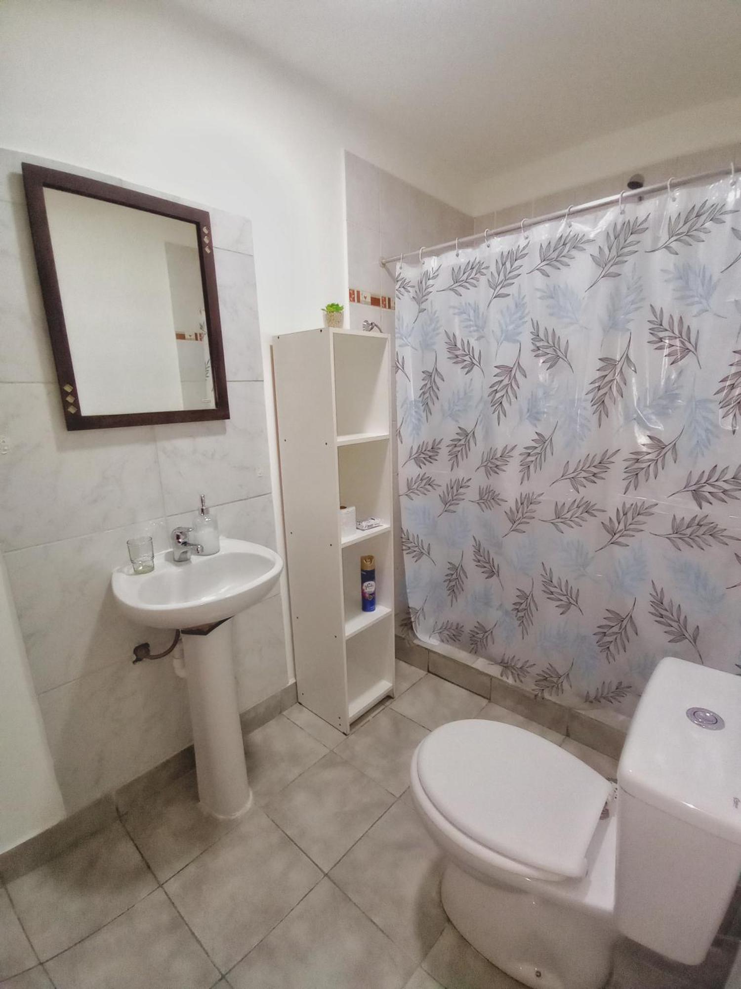 Apartment Departamento Olivia