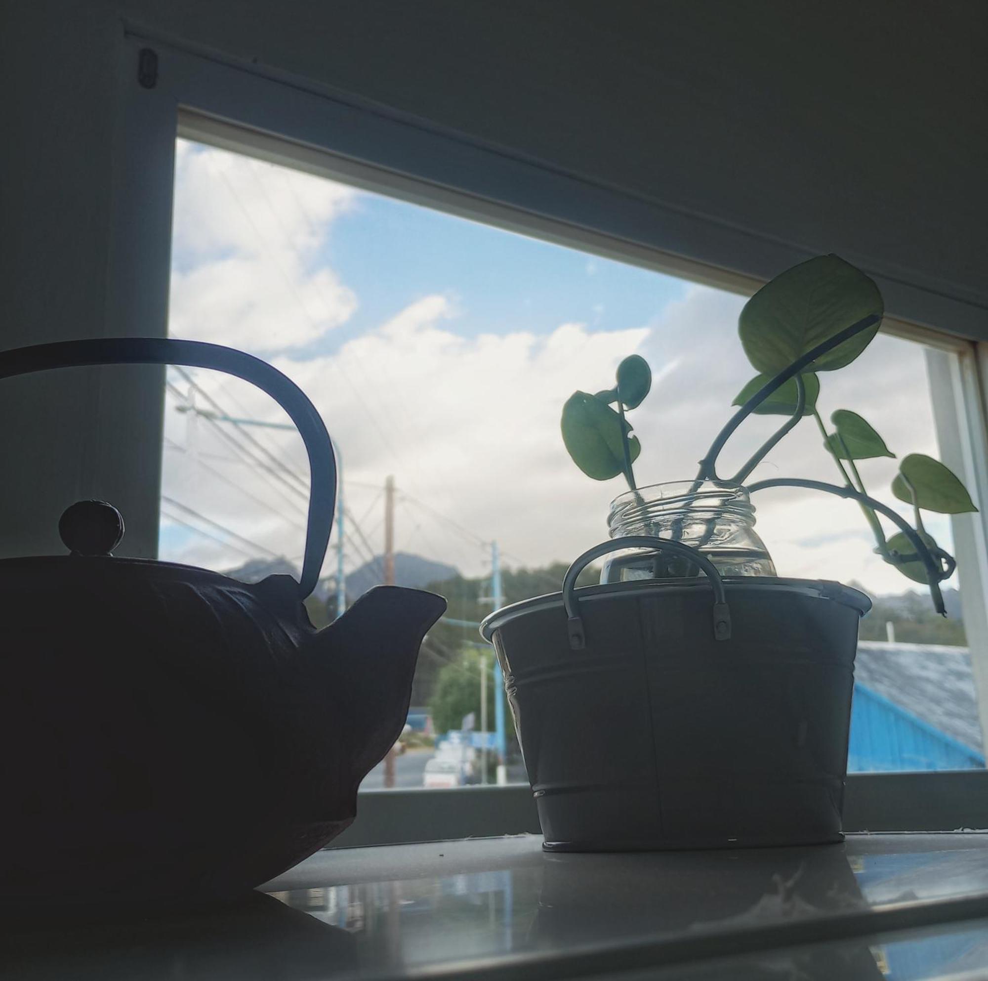 Apartment Departamento Olivia *