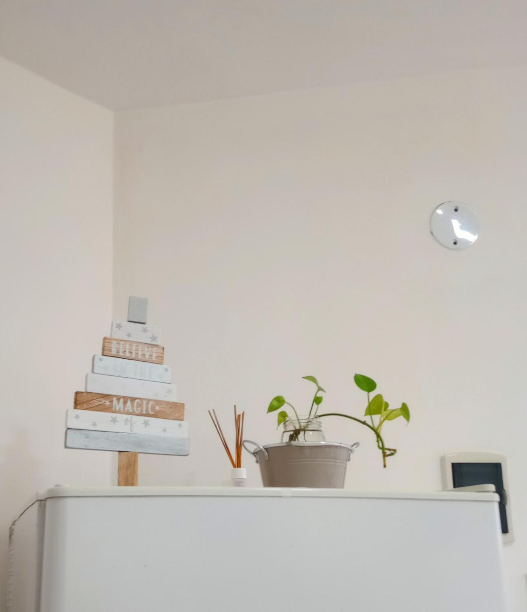Apartment Departamento Olivia *